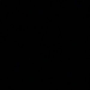 Meet your Posher, Araceli